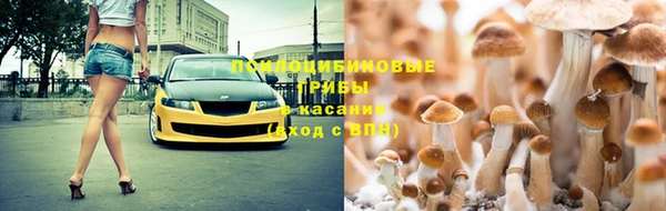 гашиш Нефтекумск