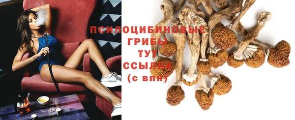 ALPHA PVP Новодвинск