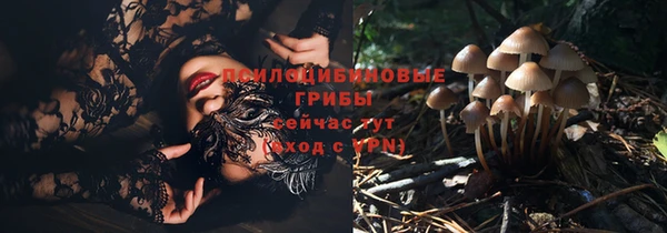 эйфоретик Новокубанск
