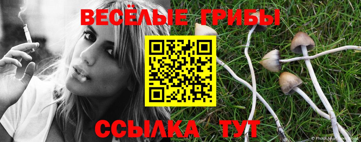 Псилоцибиновые грибы GOLDEN TEACHER  Галлюциногенные грибы ЛСД  Ишим  Вход с VPN 