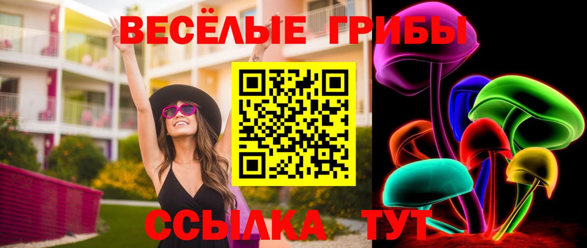 Псилоцибиновые грибы Psilocybine cubensis  Галлюциногенные грибы мицелий  Ишим 